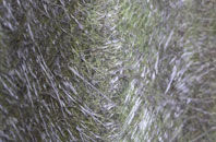 Bridge Of Awe fibreglass roof work